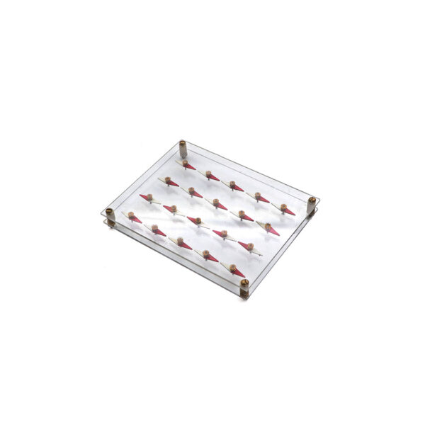 Magnetic Molecule