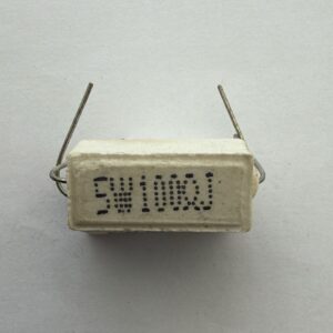 Electronic component: 5 watt, 5%, 100 ohm resistor.