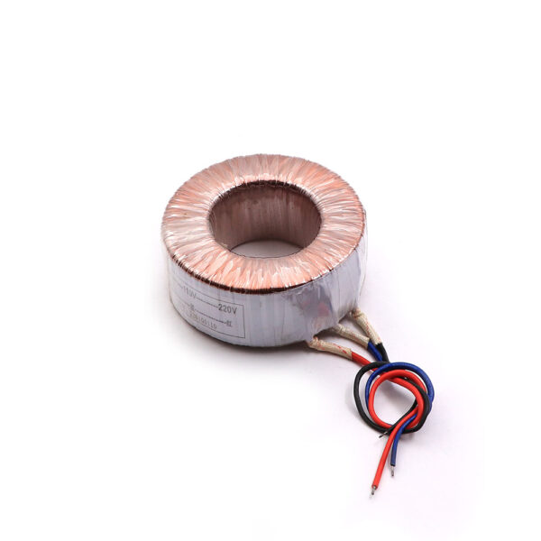 Toroidal Transformer 110V/220V AC 100VA