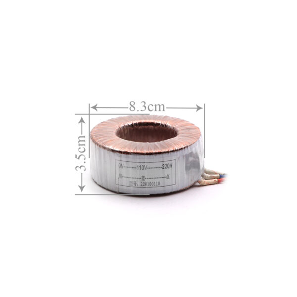 Toroidal Transformer 110V/220V AC 100VA - Image 2